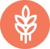 Seleno Health Australia