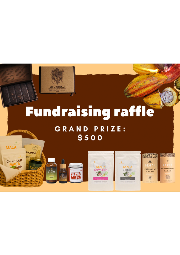 Fundraising raffle tickets